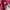Luxury Casual Polo shirt Pria burgundy photo 4