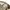Y2K Casual Casual pants Pria tan photo 3