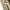 Y2K Casual Casual pants Pria tan photo 7