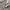 Carhartt Hickory Stripe Carpenter photo 8