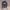 Dickies Avant Garde Hoody Pria navy photo 1
