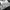 Uniqlo Vintage Streetwear T-shirt Pria white black photo 2