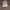Dickies Avant Garde Hoody Pria white photo 2