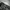 THEORIA SPICY DENIM photo 4