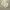 Rubylicious Minimalist Casual Fur coat Wanita cream photo 1