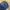 Topi oioi warna biru photo 2