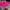 Sportswear Wanita pink photo 2