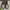 New Balance Streetwear Sportswear Sneakers Pria white gray photo 5