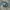 Trench Coat MCM Monogram  photo 4