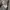 Nike Streetwear Sportswear Sweatshirt Pria gray photo 4