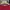New Balance Streetwear Sportswear Sweatshirt Pria red photo 2