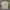 Streetwear Y2K Formal shirt Pria cream photo 1