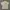 Streetwear Y2K Formal Shirt Pria Cream