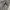 Y2K Sportswear Fleece Wanita gray photo 6