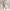 Coquette Cardigan Wanita white pink photo 2