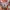 ⚜️ Y2K Beach Sound Orange & Off-White Cream Western Plaid