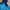 Columbia Sportswear Windbreaker Pria Navy Blue