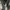 ZARA Men’s Textured Waffle Knit Sweater – 100% Fine Cotton. photo 10