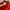 Columbia Sportswear Sweatshirt Wanita red photo 2
