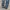 DENIM BLACKWASH SLIM STRAIGHT photo 9