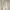 CP Company Canvas Premium Pants Abu Pekat | Vintage Casual | photo 2