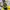 BATMAN , FLIK FLAK, Boy Kids SWISS Watch..Genuine DC Comics  photo 5