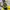 BATMAN , FLIK FLAK, Boy Kids SWISS Watch..Genuine DC Comics  photo 3