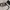 Vintage Pria gray photo 3