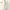 Luxury Casual Summer dress Wanita white photo 3