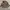 Hunting shirt Realtree by Hunting story outdoor photo 2