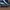 Casual and Sporty Adidas Questar Flow Navy Blue photo 4