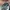 Kacamata Vintage Rayban BL USA photo 4
