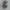Adidas Streetwear Casual Sneakers Pria gray photo 5