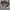 Adidas Streetwear Casual Sneakers Pria gray photo 4