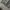 American Apparel Streetwear Grunge Jeans Pria white gray photo 4