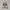Converse CTAS Low Ox Optical White photo 2
