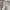 Outer crop photo 5