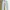 White Jeans GAP Staight Fit