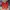 Sportswear Minimalist Sneakers Pria red photo 3