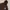 Stussy Vintage Casual Hoody Pria brown photo 3