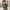 Pull & Bear Casual Crop top Wanita green photo 2