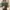 Pull & Bear Casual Crop top Wanita green photo 3