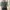 Pull & Bear Casual Crop Top Wanita Green