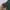 Pull & Bear Casual Crop top Wanita green photo 5