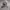 Nfl Ronnie Lott photo 5