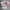 KAOS DRAGON BALL MAJIN BUU ALL OVER PRINT THAILAND photo 5