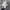 Adidas Superstar Deconstructed White Stripes photo 2