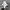 Adidas Superstar Deconstructed White Stripes photo 3