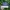 Vintage Casual Hat Pria navy cream photo 2