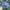 Vintage Casual Hat Pria navy cream photo 4
